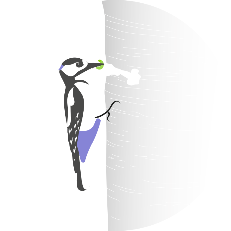 <span>BOPP</span>For Businesses